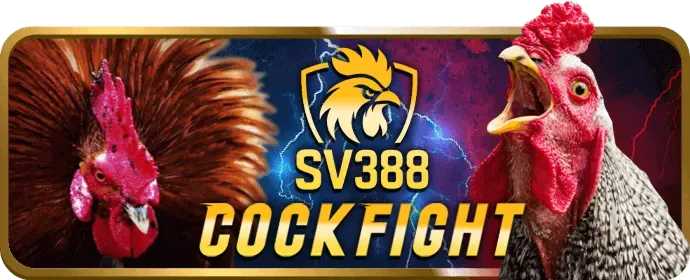 Cá cược thể thao trực tiếp trên gam88 apk
